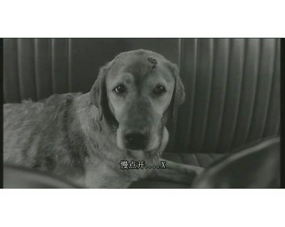 冷月亮剧照的剧照