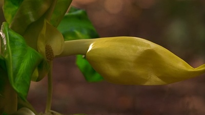 柳暗花明剧照的剧照