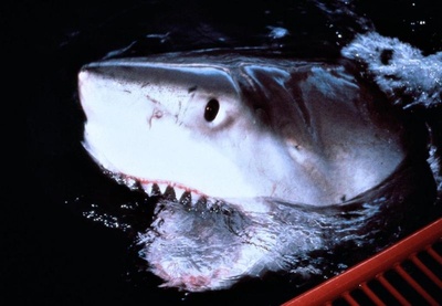 亚特兰蒂斯剧照的剧照