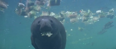 亚特兰蒂斯剧照的剧照