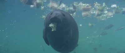 亚特兰蒂斯剧照的剧照