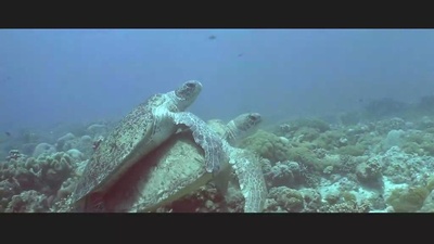 亚特兰蒂斯剧照的剧照