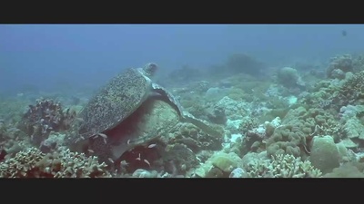 亚特兰蒂斯剧照的剧照