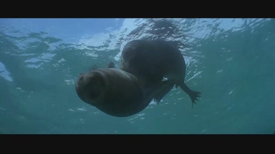 亚特兰蒂斯剧照的剧照