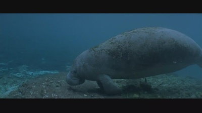 亚特兰蒂斯剧照的剧照