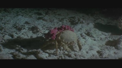 亚特兰蒂斯剧照的剧照