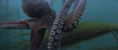 亚特兰蒂斯剧照的剧照