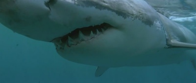 亚特兰蒂斯剧照的剧照