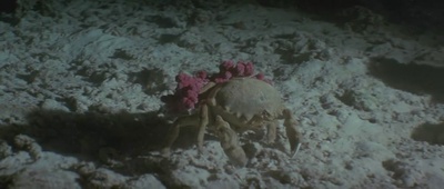 亚特兰蒂斯剧照的剧照