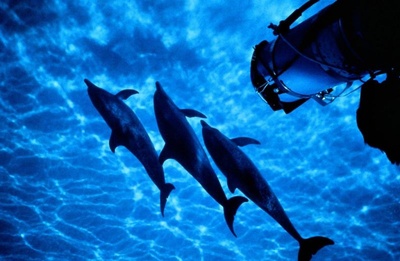 亚特兰蒂斯剧照的剧照