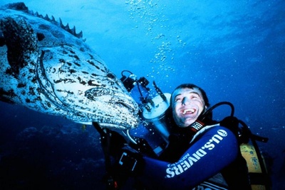 亚特兰蒂斯剧照的剧照