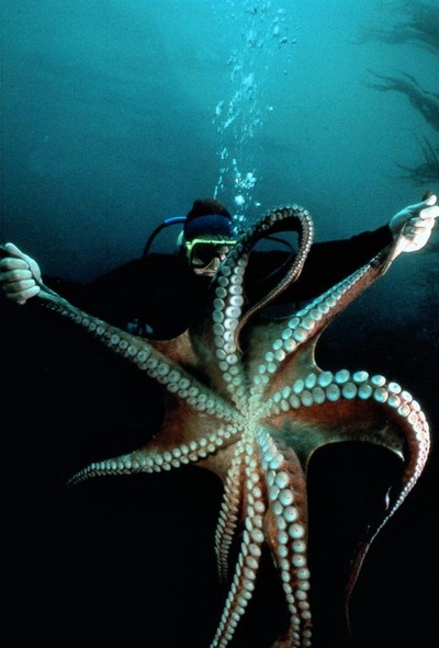 亚特兰蒂斯剧照的剧照