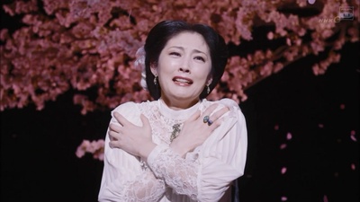 美丽的慢生活剧照的剧照