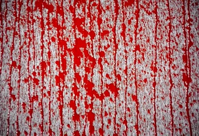 犬神家族剧照的剧照