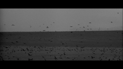 巫师的铁锤剧照的剧照