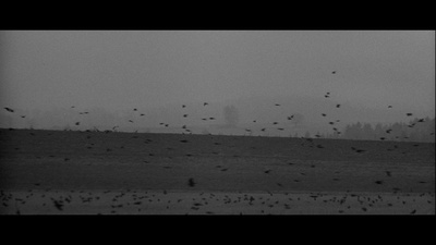 巫师的铁锤剧照的剧照