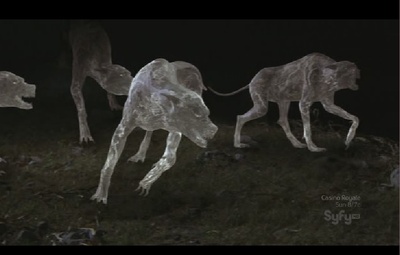 巫师镇剧照的剧照