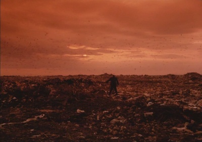 博物馆的来访者剧照的剧照