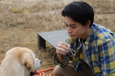 二十岁与一只剧照的剧照