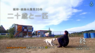 二十岁与一只剧照的剧照