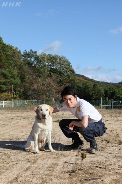 二十岁与一只剧照的剧照