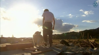 二十岁与一只剧照的剧照