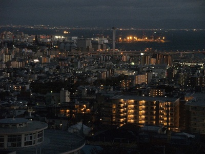 二十岁与一只剧照的剧照