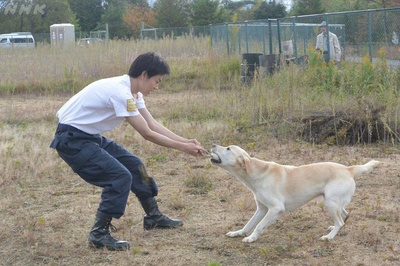 二十岁与一只剧照的剧照