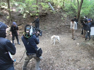 二十岁与一只剧照的剧照