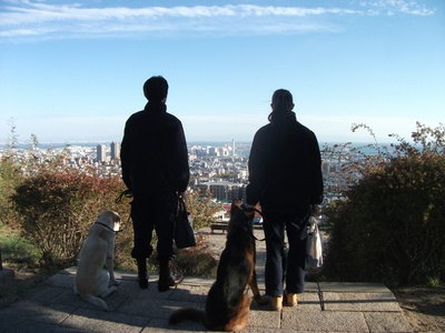 二十岁与一只剧照的剧照