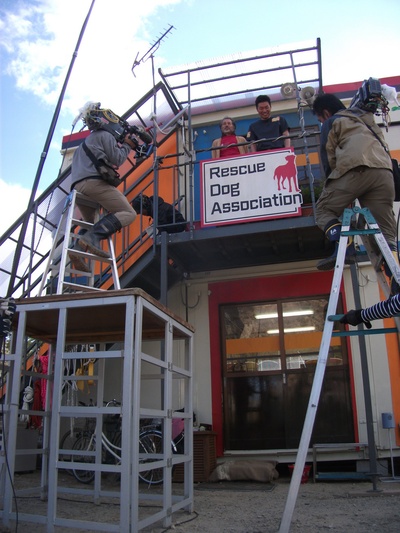 二十岁与一只剧照的剧照