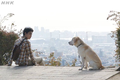 二十岁与一只剧照的剧照