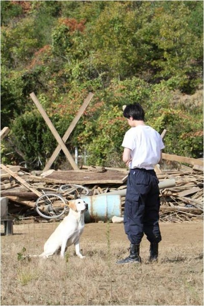 二十岁与一只剧照的剧照