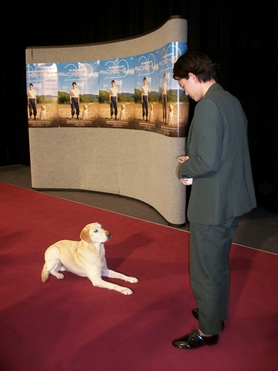 二十岁与一只剧照的剧照