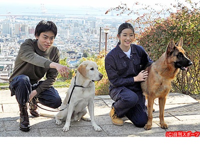 二十岁与一只剧照的剧照