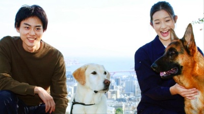 二十岁与一只剧照的剧照