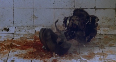 霹雳战士龙剧照的剧照