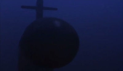 黑水狂鲨剧照的剧照