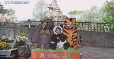 鸭子和野鸭子的投币式自动存放柜剧照的剧照