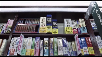 鸭子和野鸭子的投币式自动存放柜剧照的剧照