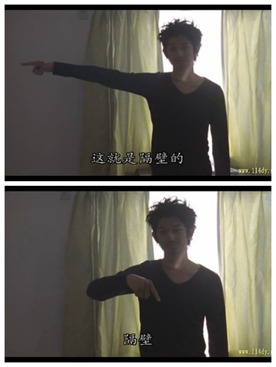 鸭子和野鸭子的投币式自动存放柜剧照的剧照