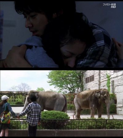 鸭子和野鸭子的投币式自动存放柜剧照的剧照