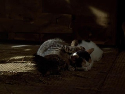 望乡剧照的剧照