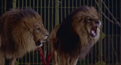 马戏团疑云剧照的剧照