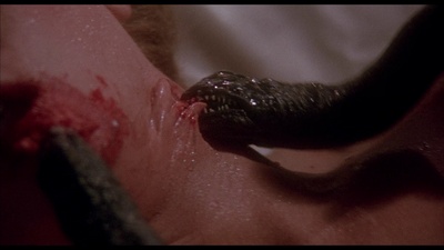 夜魔天使剧照的剧照