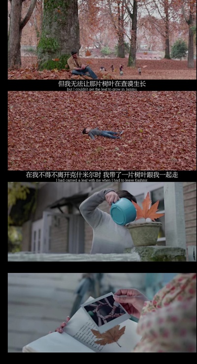 笔记本剧照的剧照