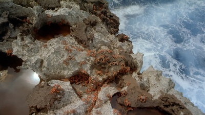 奇异的旅程剧照的剧照