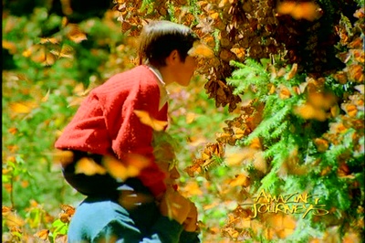 奇异的旅程剧照的剧照