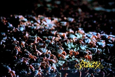 奇异的旅程剧照的剧照