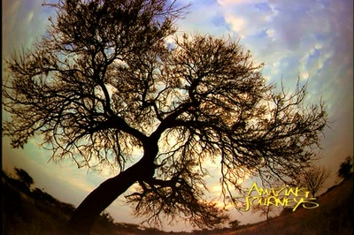 奇异的旅程剧照的剧照